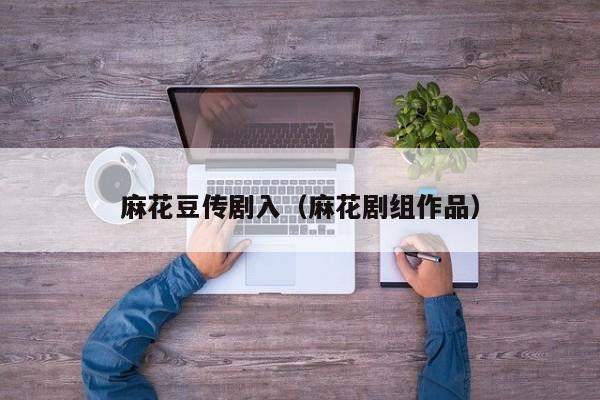 麻花豆传剧入（麻花剧组作品）