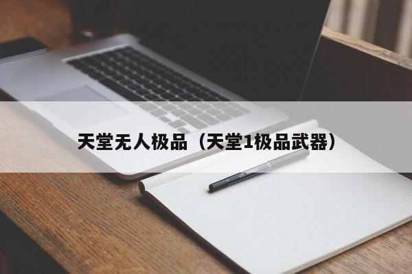 天堂无人极品（天堂1极品武器）